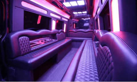 Flagstaff 14 Passenger Sprinter Bus Interior